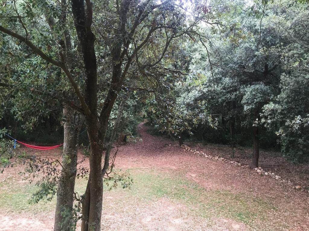 Hotel Mas Pelegri Seriñá Δωμάτιο φωτογραφία